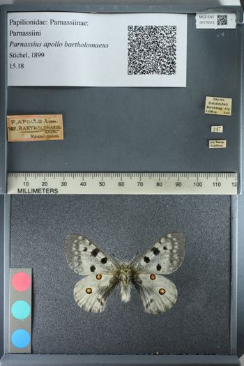 Media type: image;   Entomology 175312